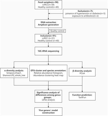 Characteristics of Gut Microbiota in Patients With Clear Cell Renal Cell Carcinoma